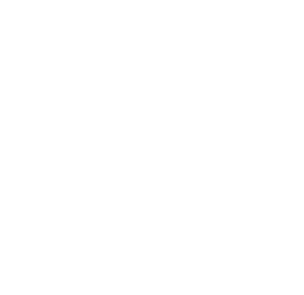 Toronto Arts Council Logo - White